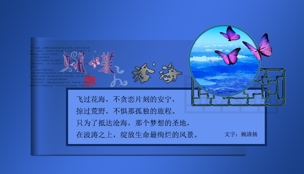 蝴蝶飞沧海3.jpg