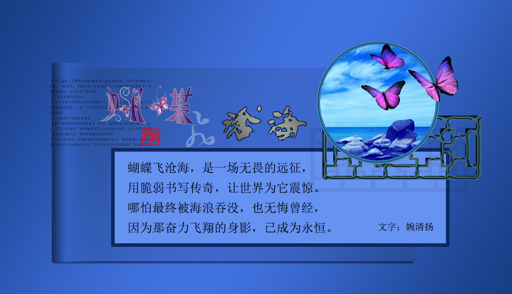 蝴蝶飞沧海4.jpg