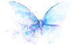 蝴蝶3.gif