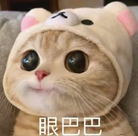 QQ图片20240127191956.jpg