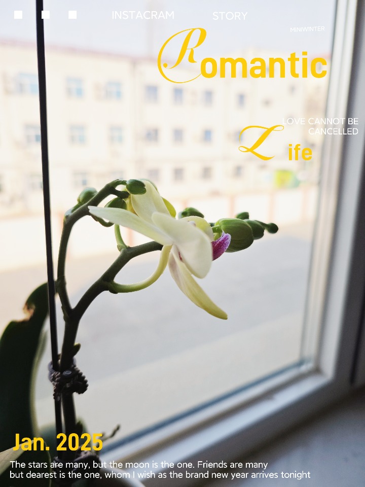 MEITU_20250121_203921043.jpg