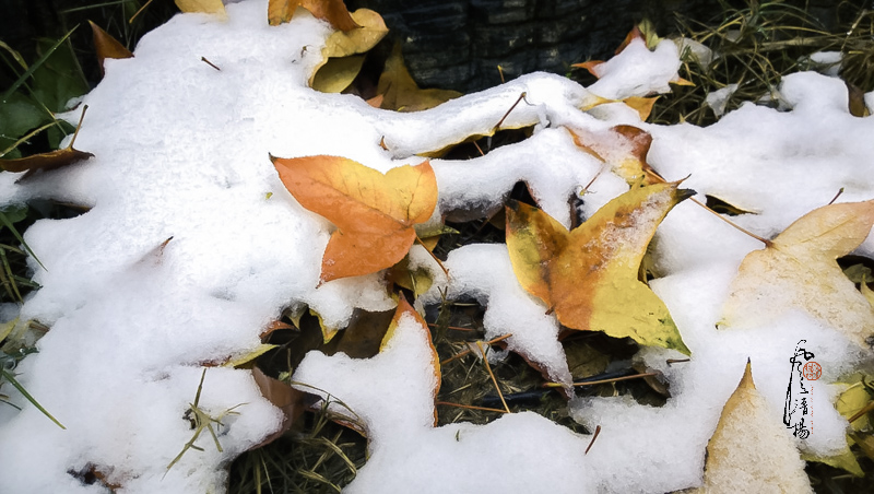 WP_20151124_11_56_23_Pro__highres.jpg