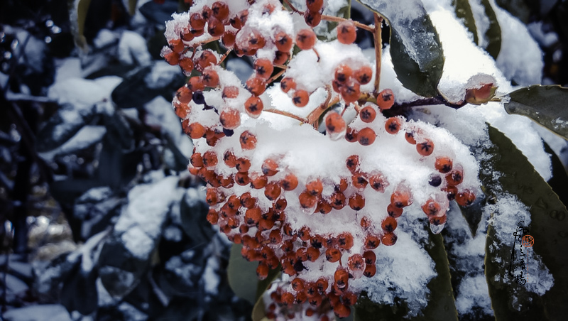 WP_20151124_12_08_33_Pro__highres.jpg