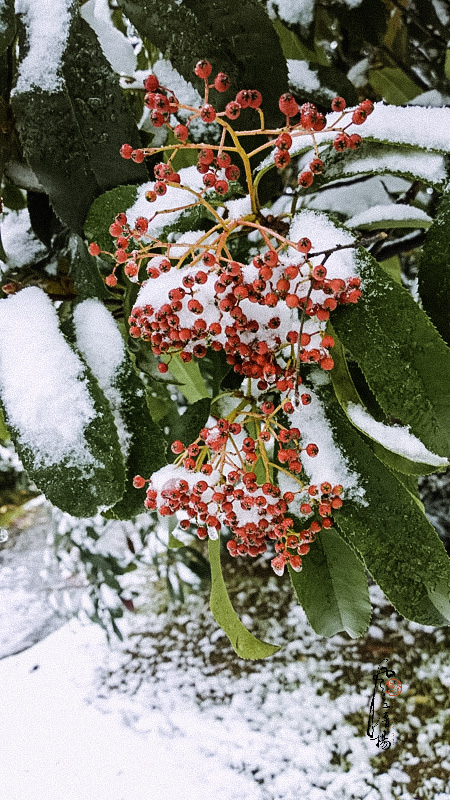 WP_20151124_12_08_53_Pro.jpg
