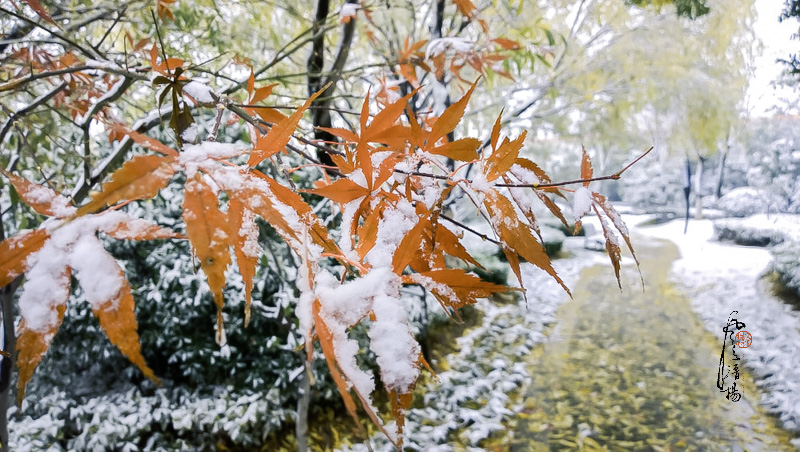 WP_20151124_12_25_26_Pro__highres.jpg