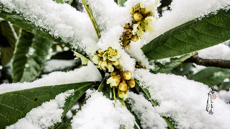 WP_20151124_12_41_11_Pro.jpg