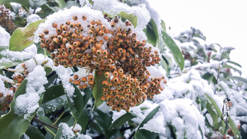 WP_20151124_12_42_37_Pro__highres.jpg