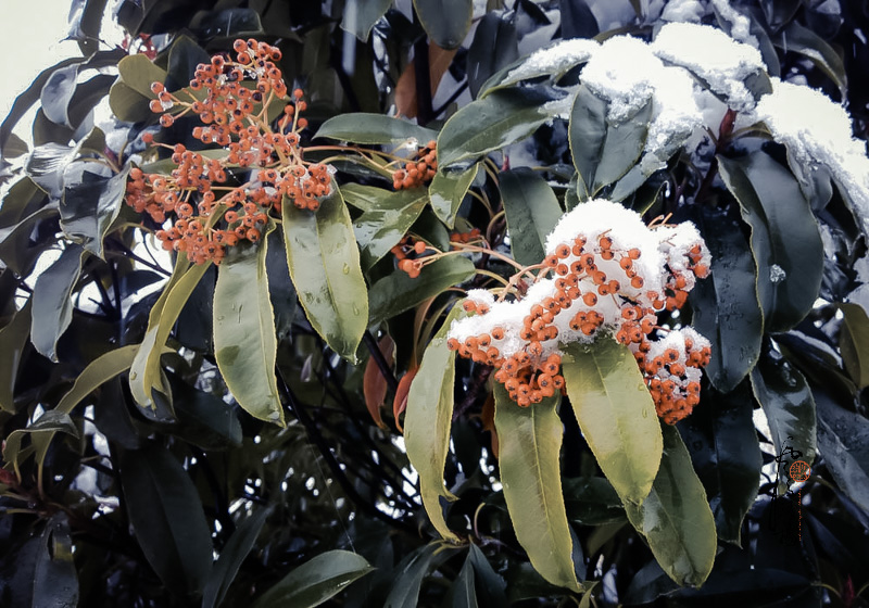 WP_20151124_12_43_37_Pro__highres.jpg