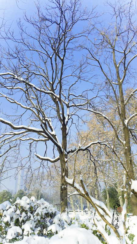 20180105_101141-1.jpg