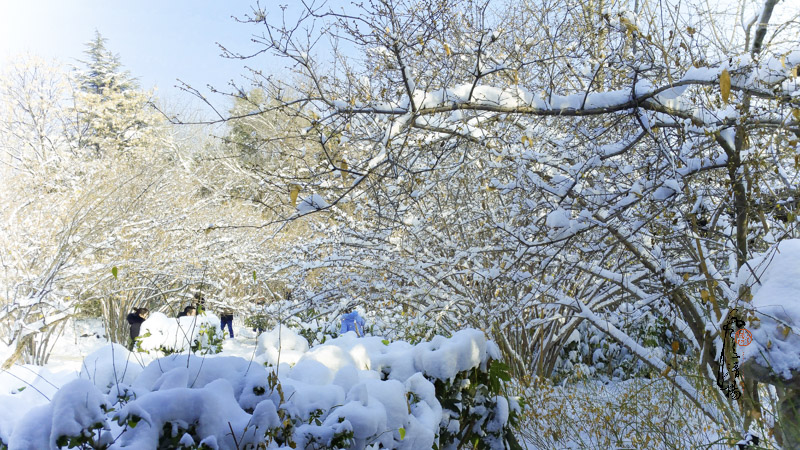 20180105_105916-1.jpg