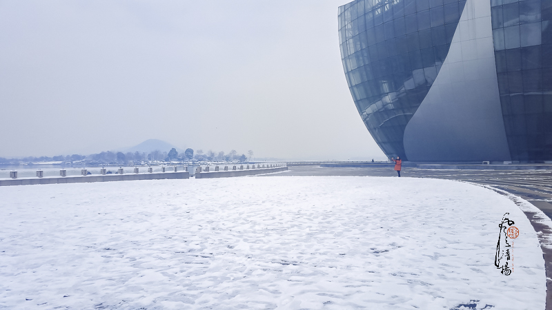 20190110-20190110_090752.jpg
