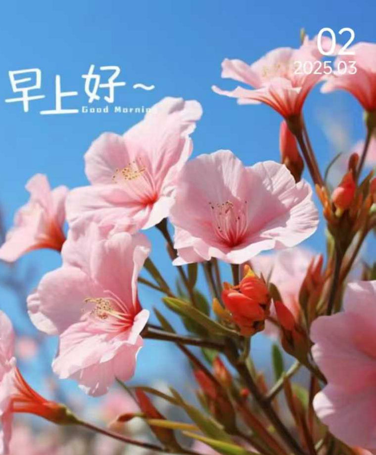 微信图片_20250302085345.jpg