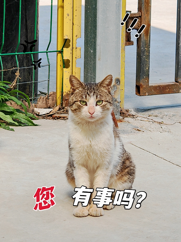 MEITU_20250402_214826880.jpg
