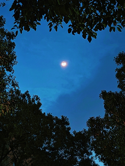 MEITU_20250413_105149649.jpg