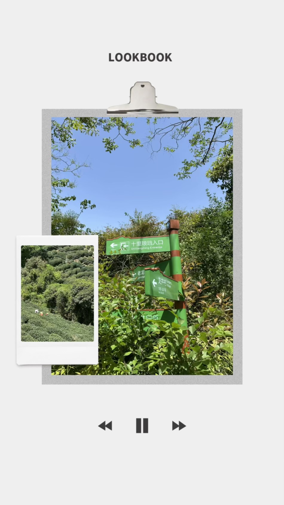 IMG_0828.jpeg