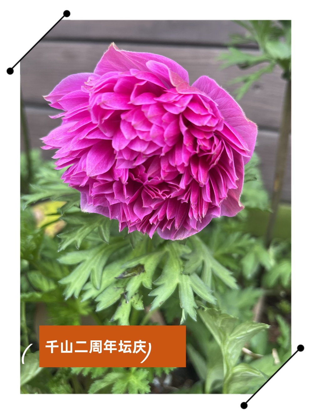 微信图片_20250416215707_副本.jpg