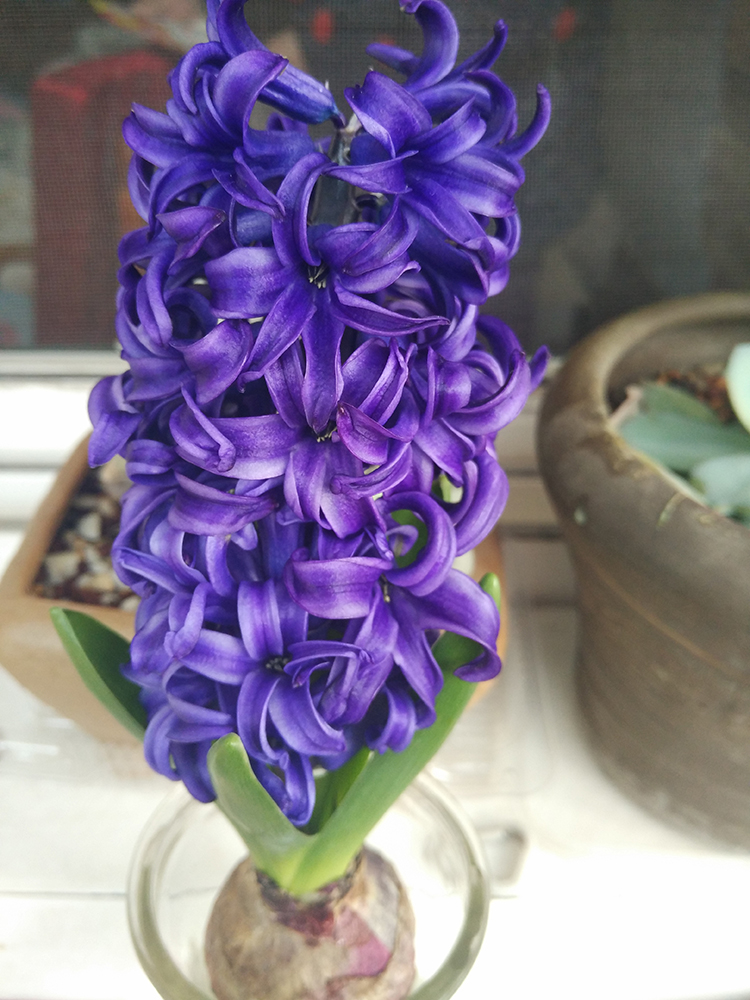 IMG_20190303_085715.jpg