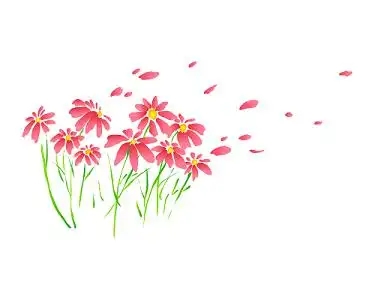 u=3335807432,3292091945&fm=253&fmt=auto&app=138&f=JPEG.webp.jpg