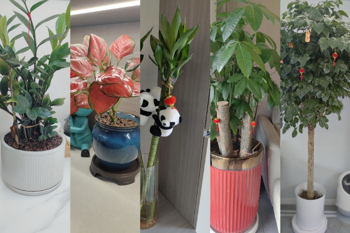 MEITU_20250510_094923574.jpg