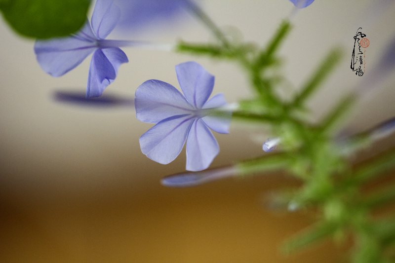_MG_9383.jpg