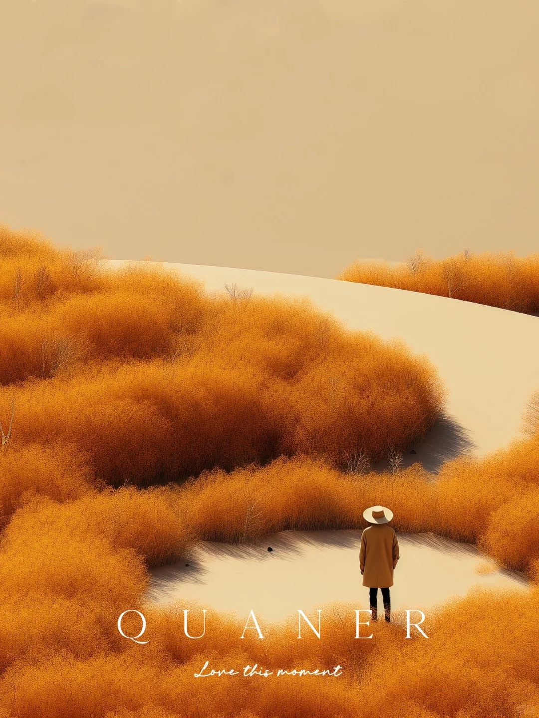 秋天地肤草公园_4_小圈圈._来自小红书网页版.jpg