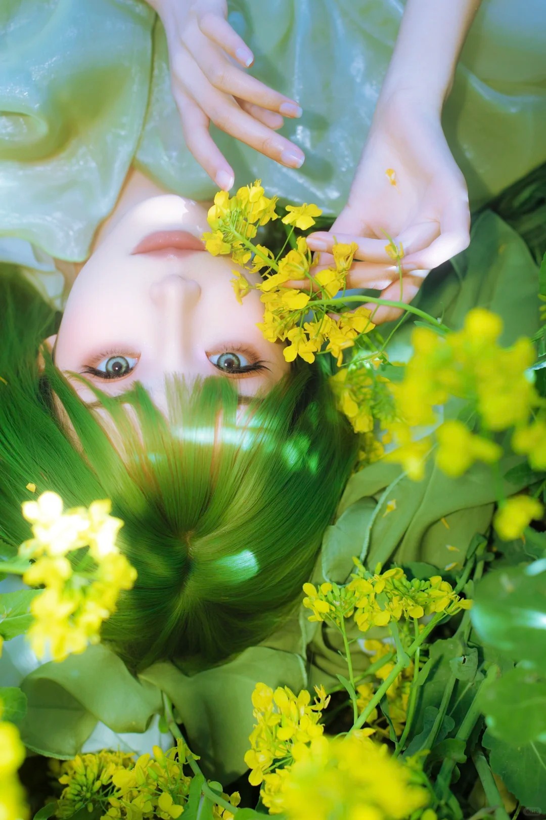 油菜花春日畅想‖绿意精灵……_5_风吟（古风版）_来自小红书网页版.jpg