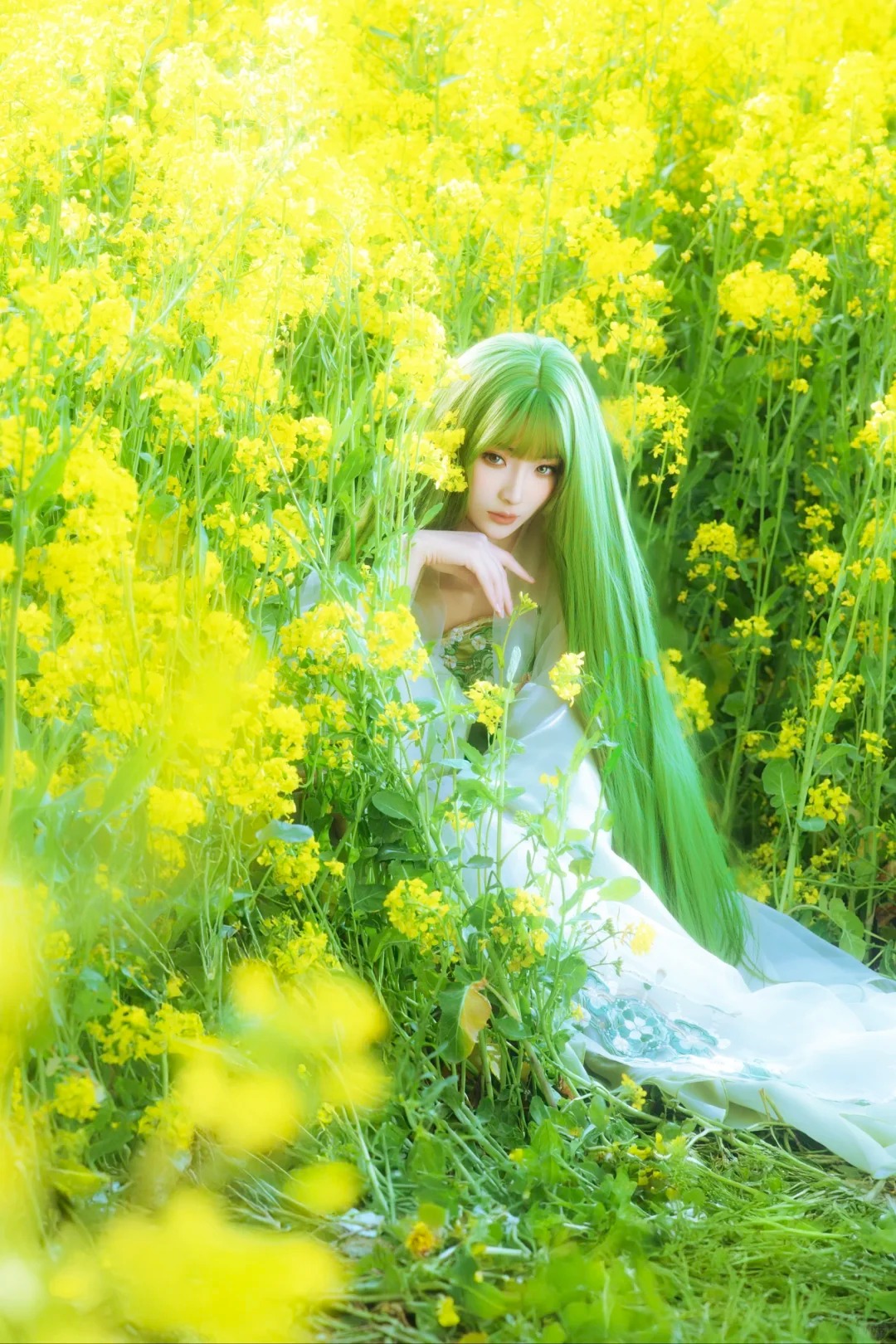油菜花春日畅想‖绿意精灵……_7_风吟（古风版）_来自小红书网页版.jpg