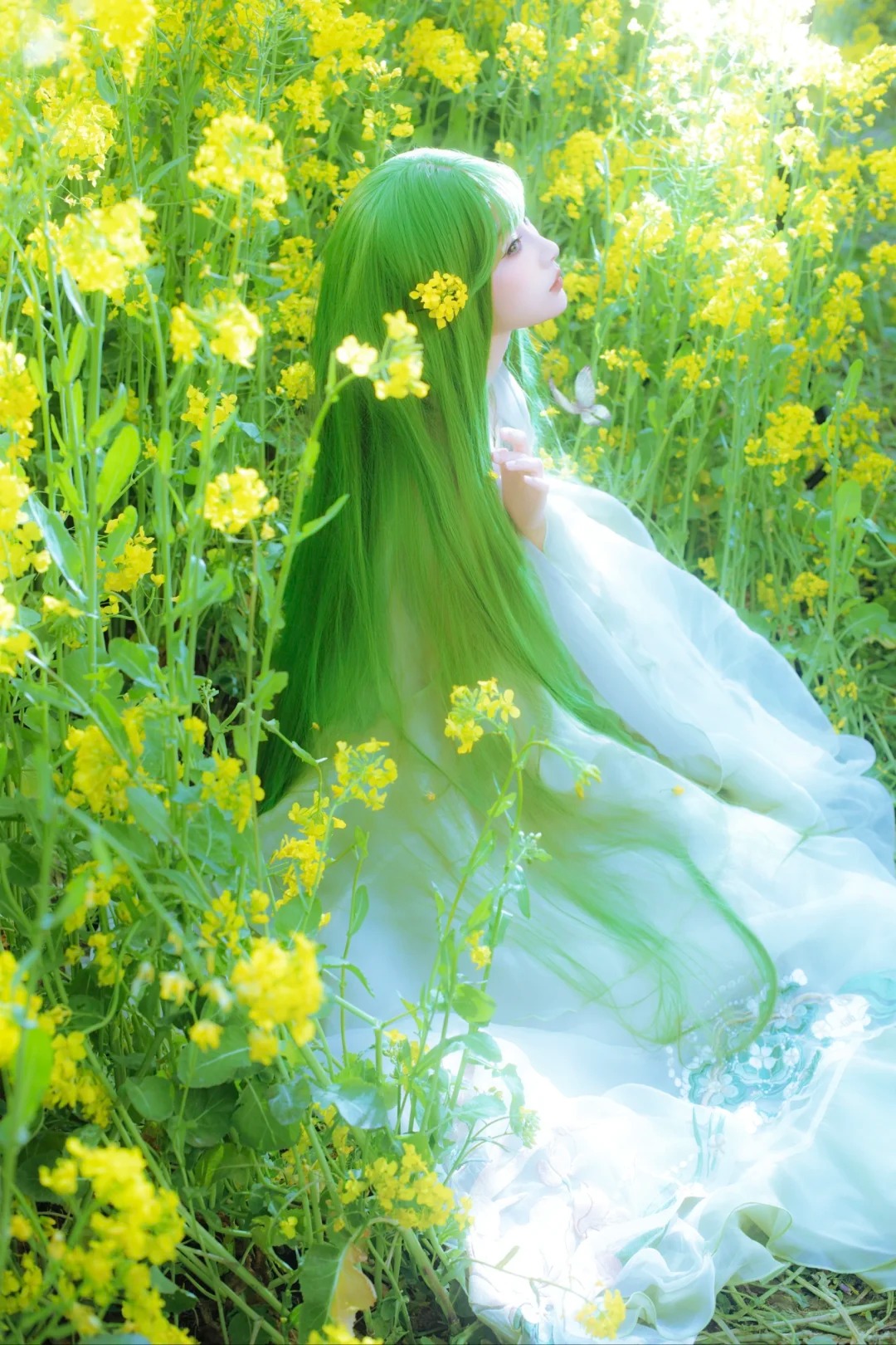 油菜花春日畅想‖绿意精灵……_9_风吟（古风版）_来自小红书网页版.jpg