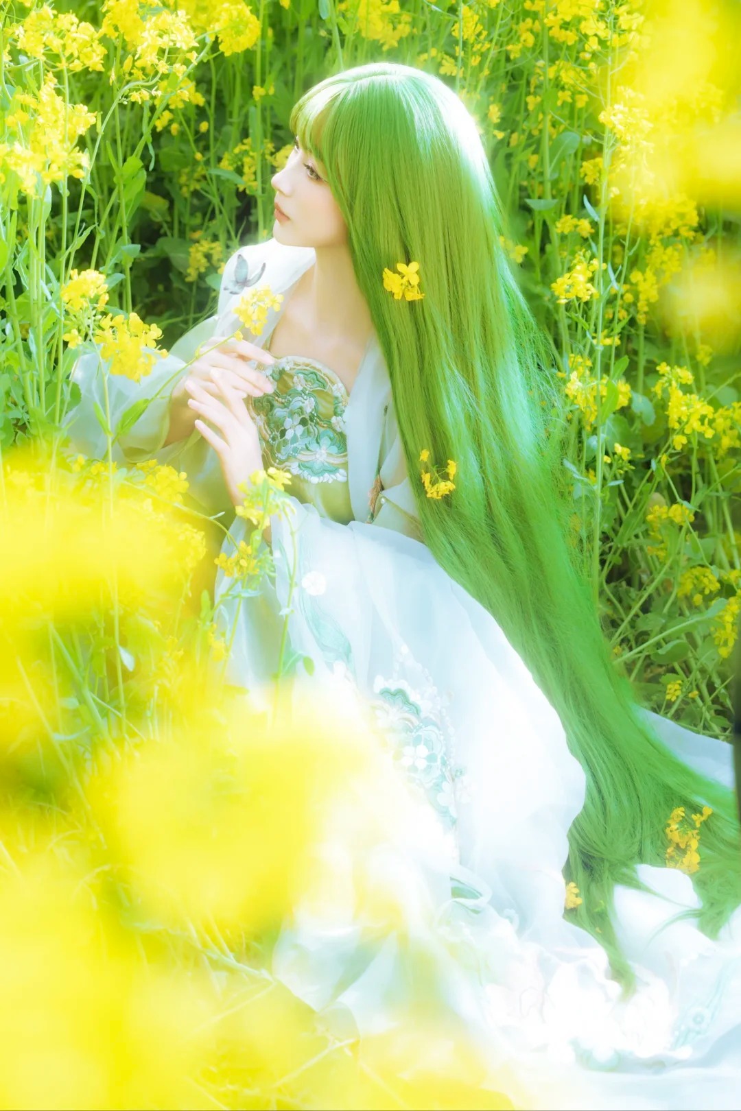 油菜花春日畅想‖绿意精灵……_12_风吟（古风版）_来自小红书网页版.jpg