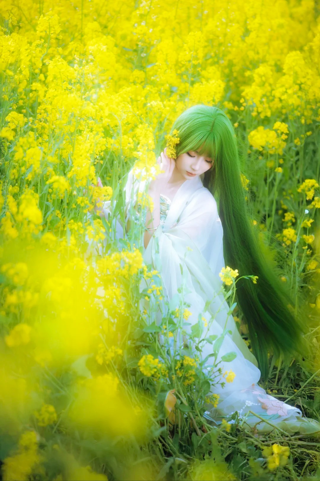 油菜花春日畅想‖绿意精灵……_13_风吟（古风版）_来自小红书网页版.jpg