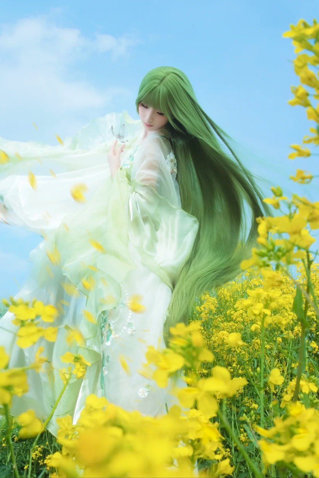 油菜花春日畅想‖生命力 自由 风 蝴蝶……_1_风吟（古风版）_来自小红书网页版.jpg