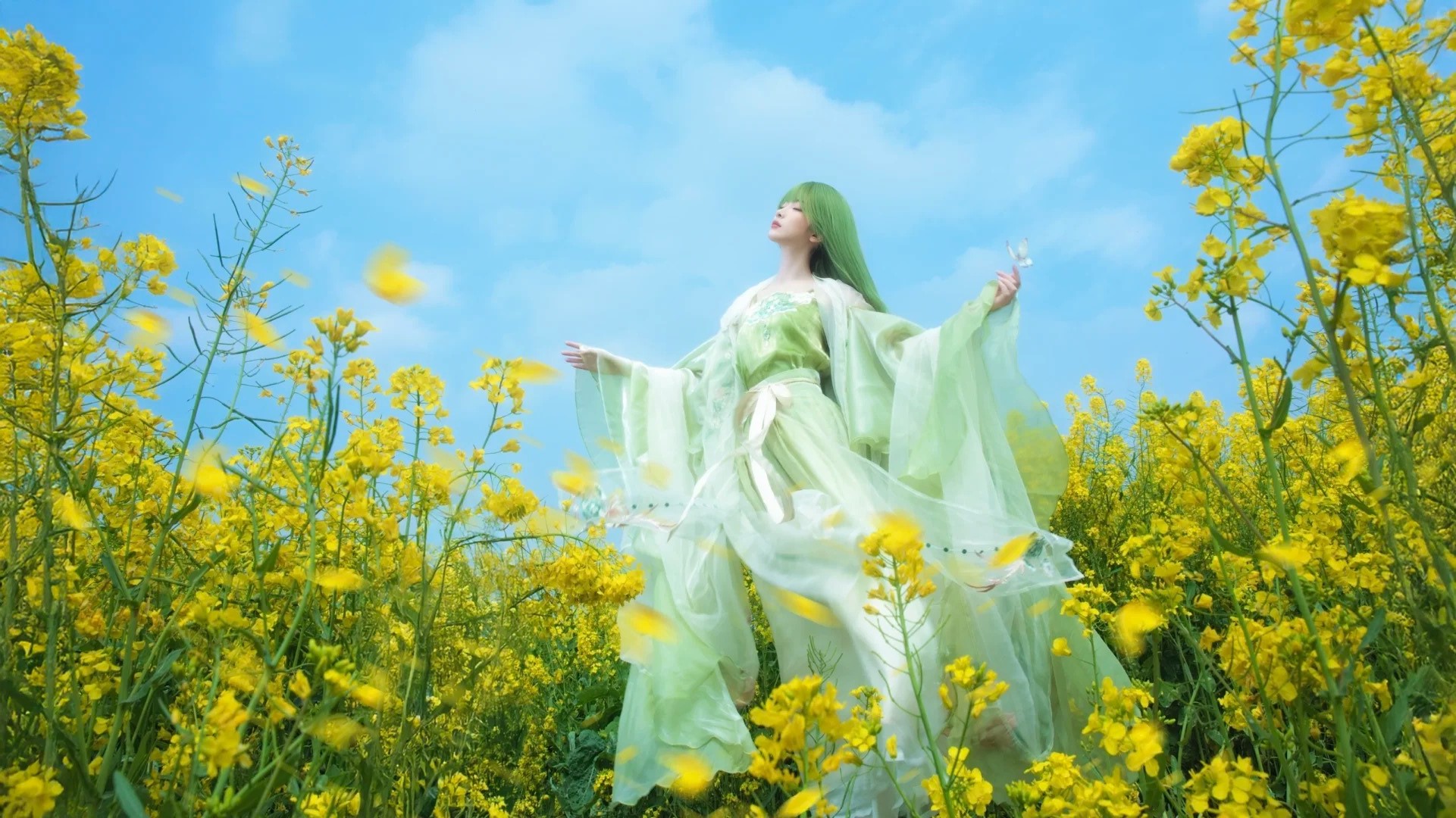 油菜花春日畅想‖生命力 自由 风 蝴蝶……_4_风吟（古风版）_来自小红书网页版.jpg