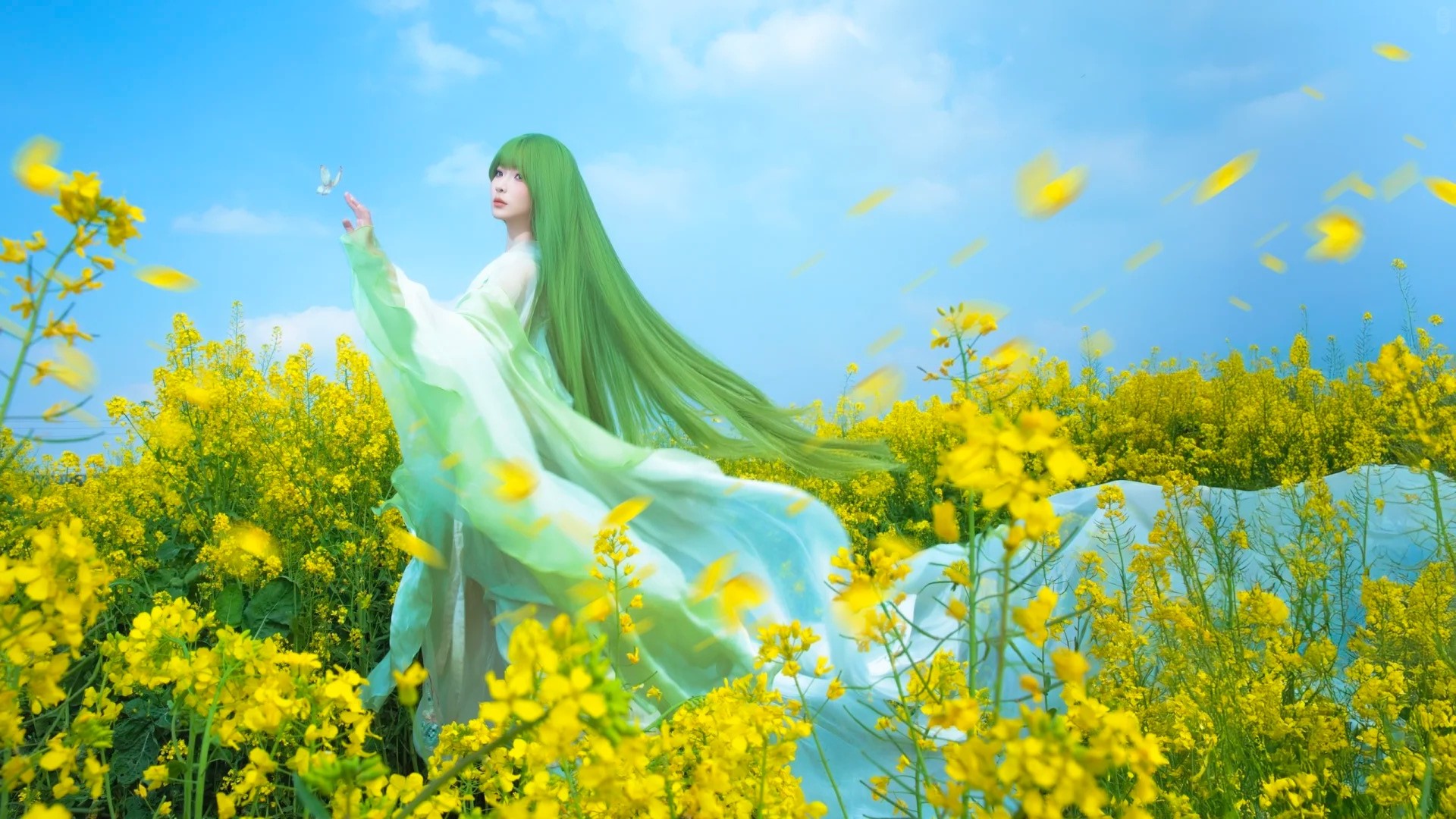 油菜花春日畅想‖生命力 自由 风 蝴蝶……_7_风吟（古风版）_来自小红书网页版.jpg
