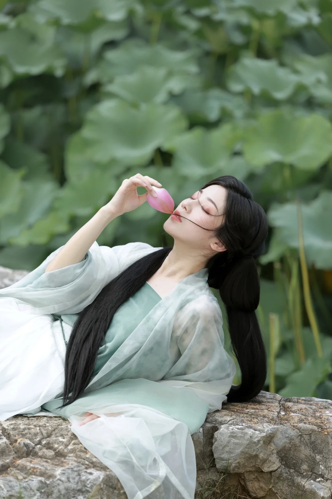 莲_1_见南山_来自小红书网页版.jpg