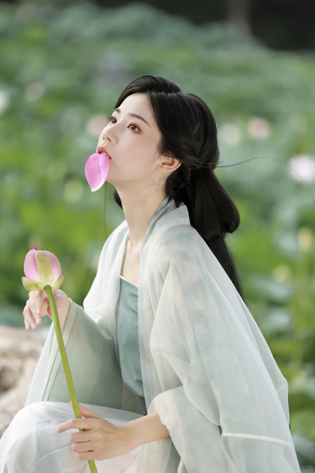 莲_2_见南山_来自小红书网页版.jpg