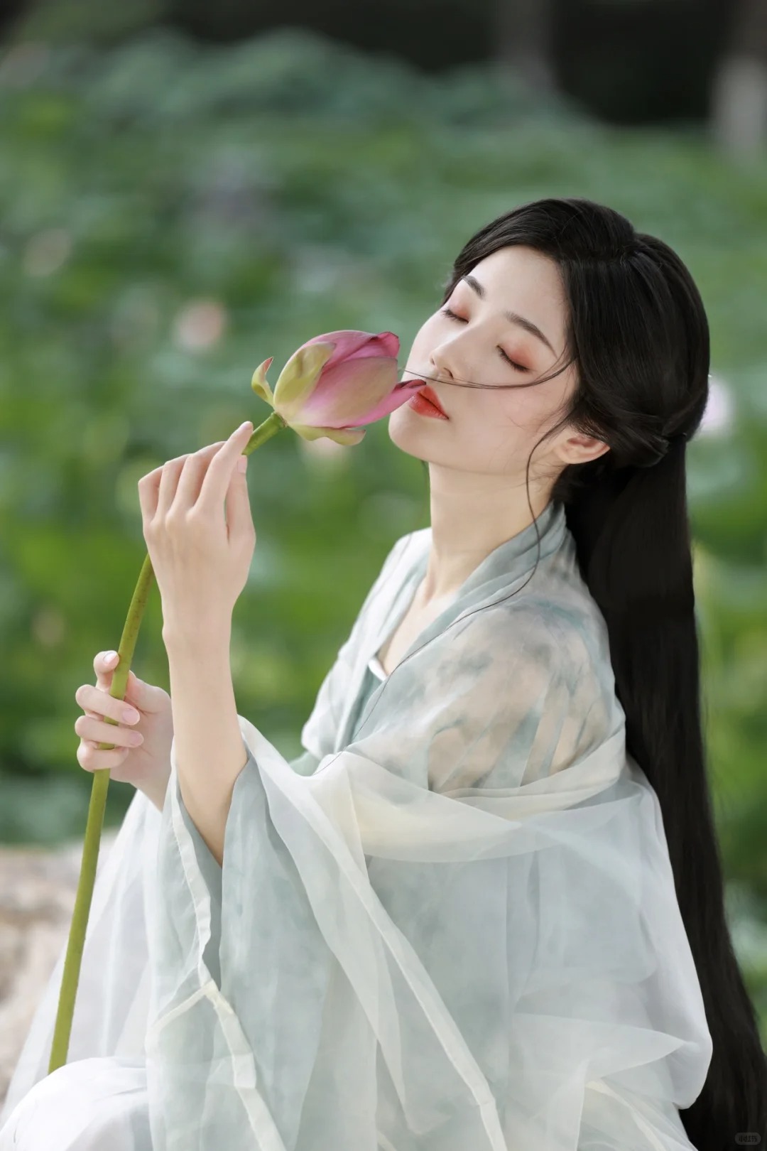 莲_6_见南山_来自小红书网页版.jpg
