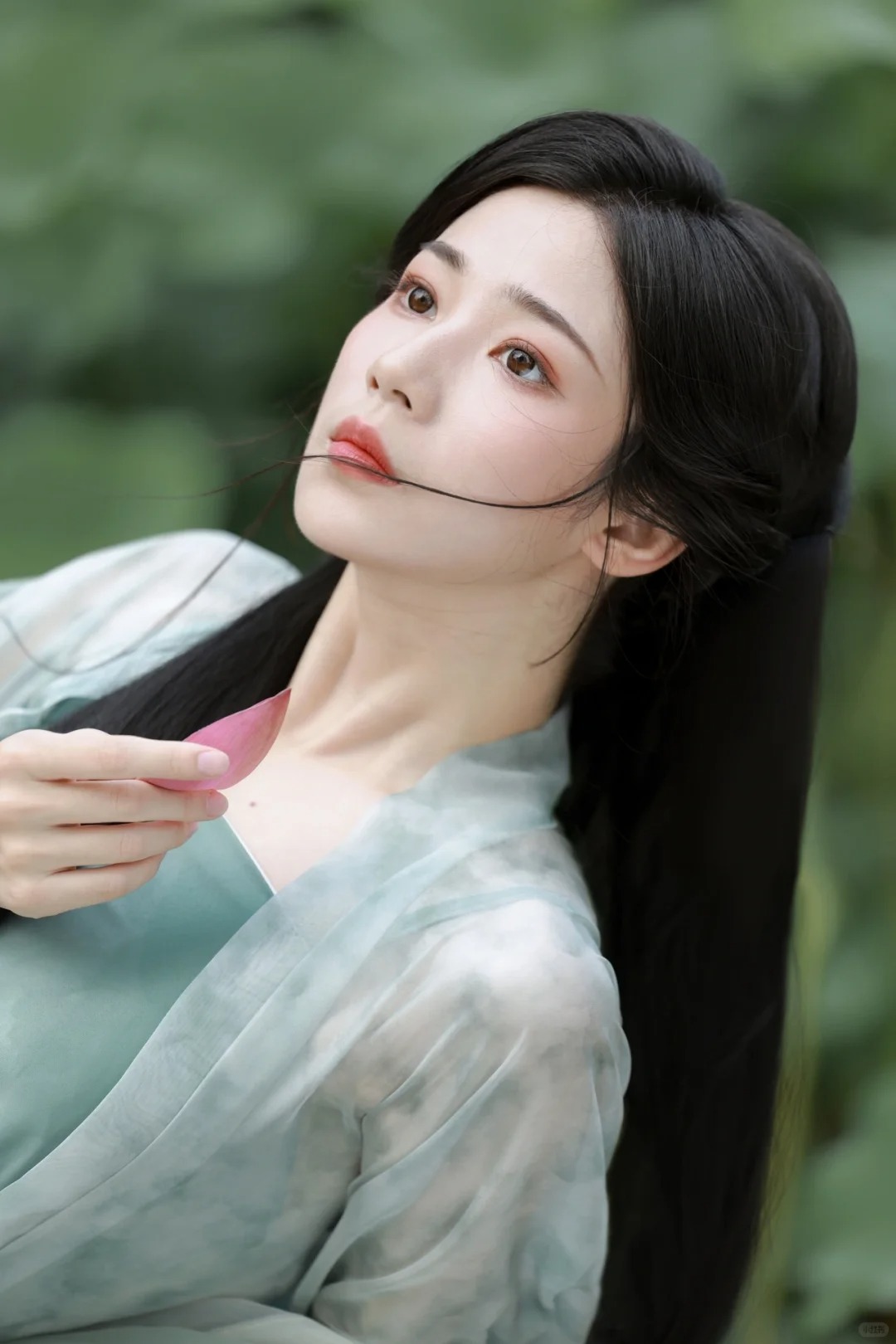 莲_5_见南山_来自小红书网页版.jpg
