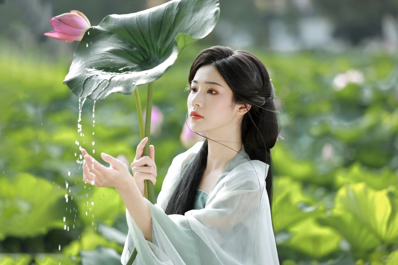 莲_3_见南山_来自小红书网页版.jpg