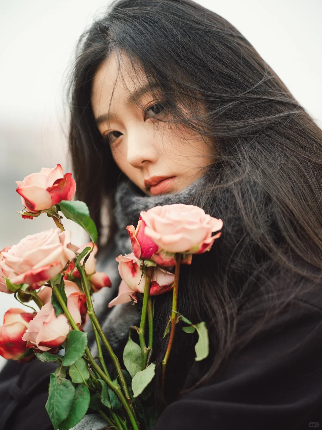 晚秋_3_摄影师蜉蝣_来自小红书网页版.jpg