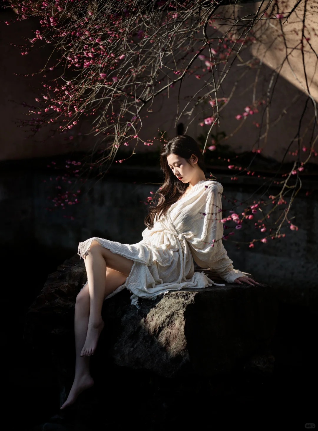 梅 _ 花开了_1_摄影师蜉蝣_来自小红书网页版.jpg
