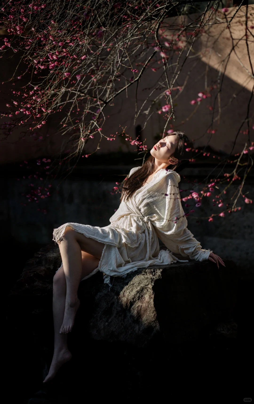 梅 _ 花开了_2_摄影师蜉蝣_来自小红书网页版.jpg