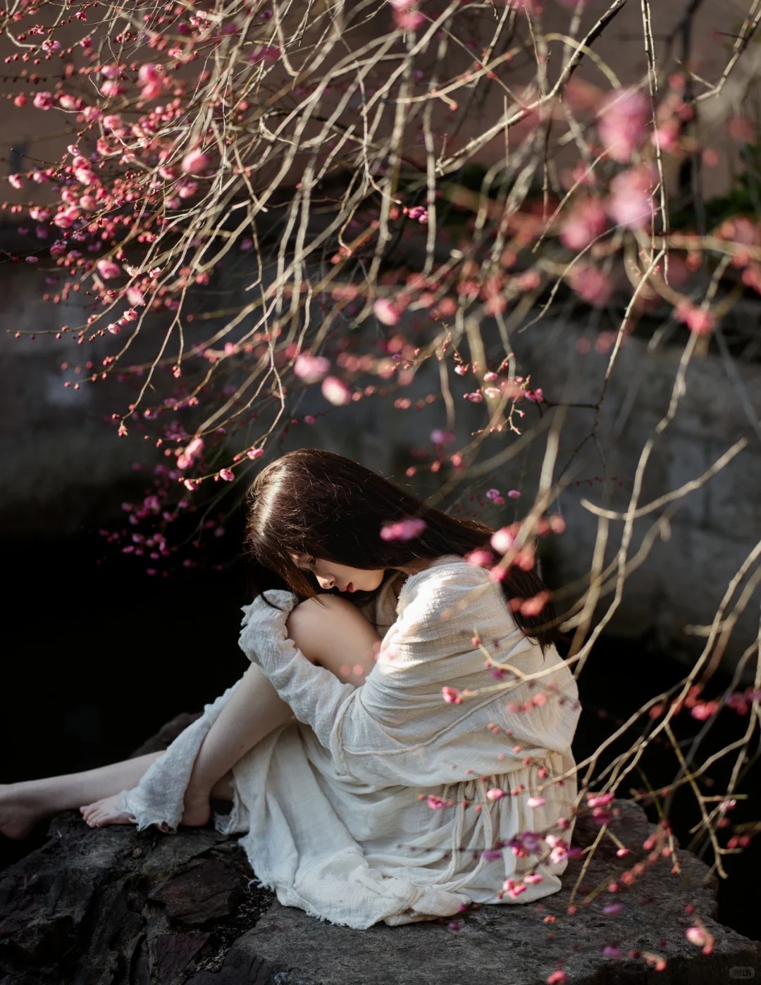 梅 _ 花开了_6_摄影师蜉蝣_来自小红书网页版.jpg