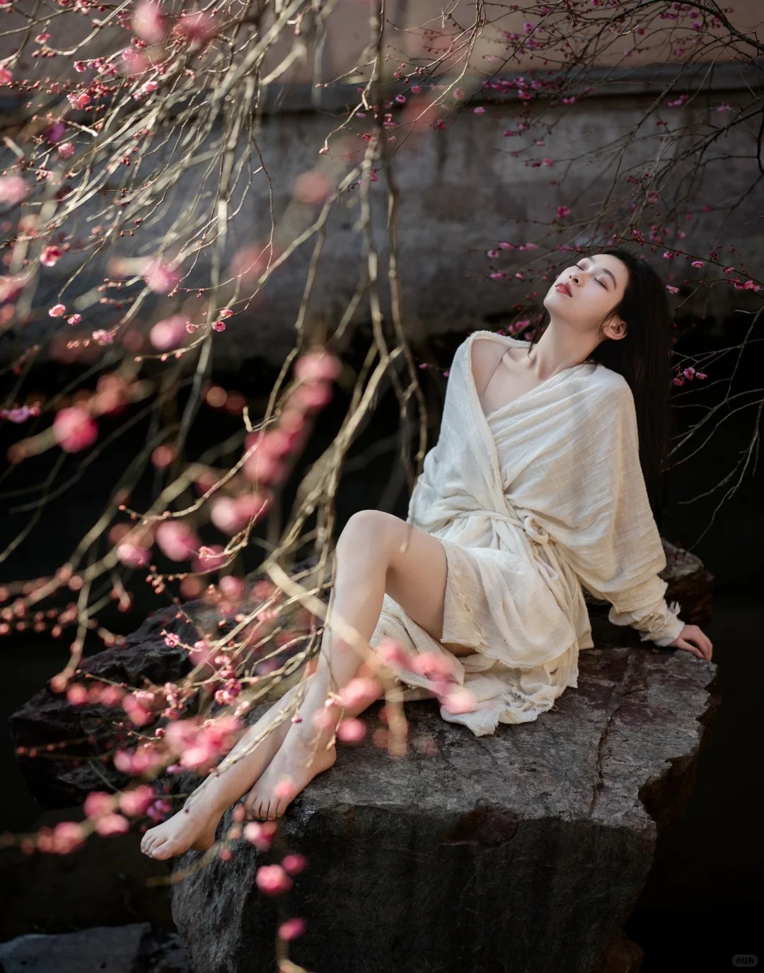 梅 _ 花开了_7_摄影师蜉蝣_来自小红书网页版.jpg