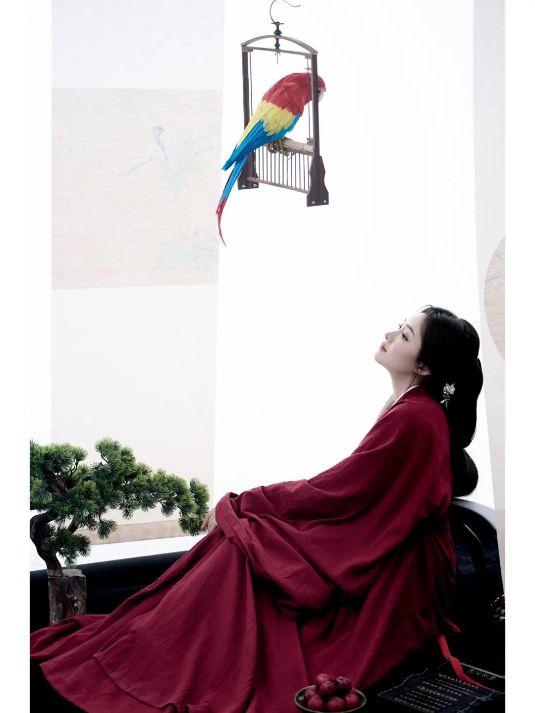 古风写真_当文人墨客遇到鹦鹉🦜_2_阑梦古装摄影写真馆_来自小红书网页版.jpg