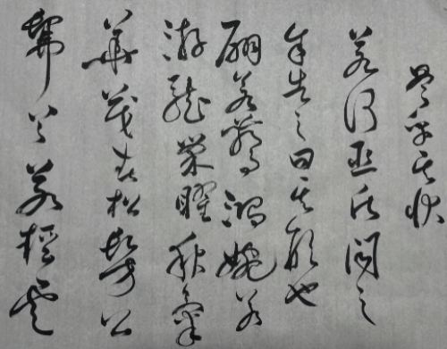 D844D8E7-2A90-46C3-8BB2-EC3E93F3DBAD.jpeg