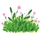 小粉花