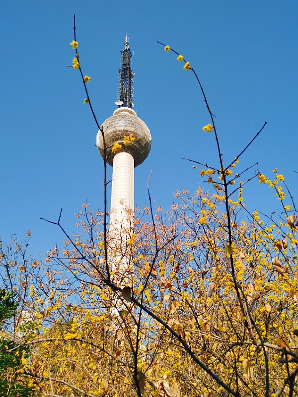 MEITU_20250108_102104797.jpg