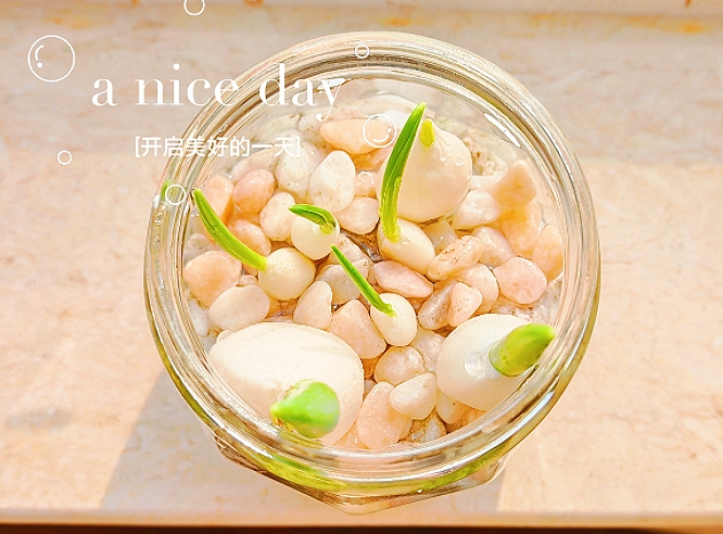 MEITU_20250219_145803636.jpg