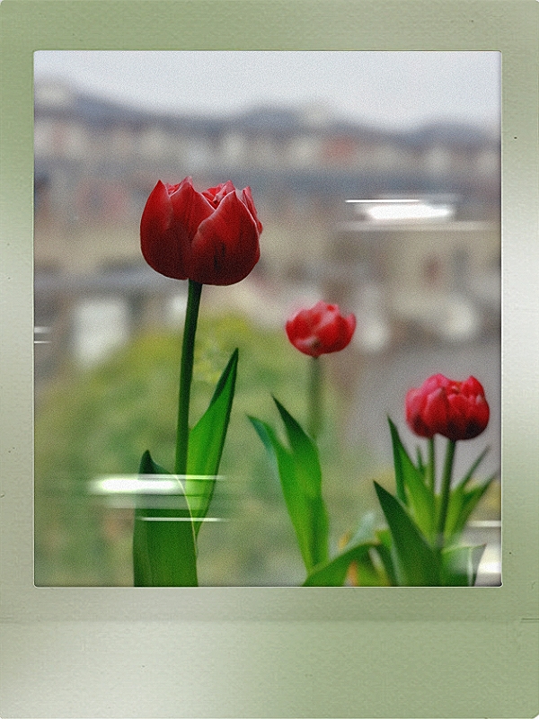 MEITU_20250219_172645381.jpg
