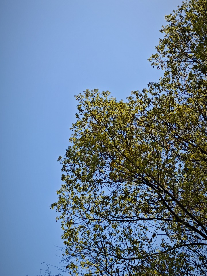 IMG_20250325_120739.jpg